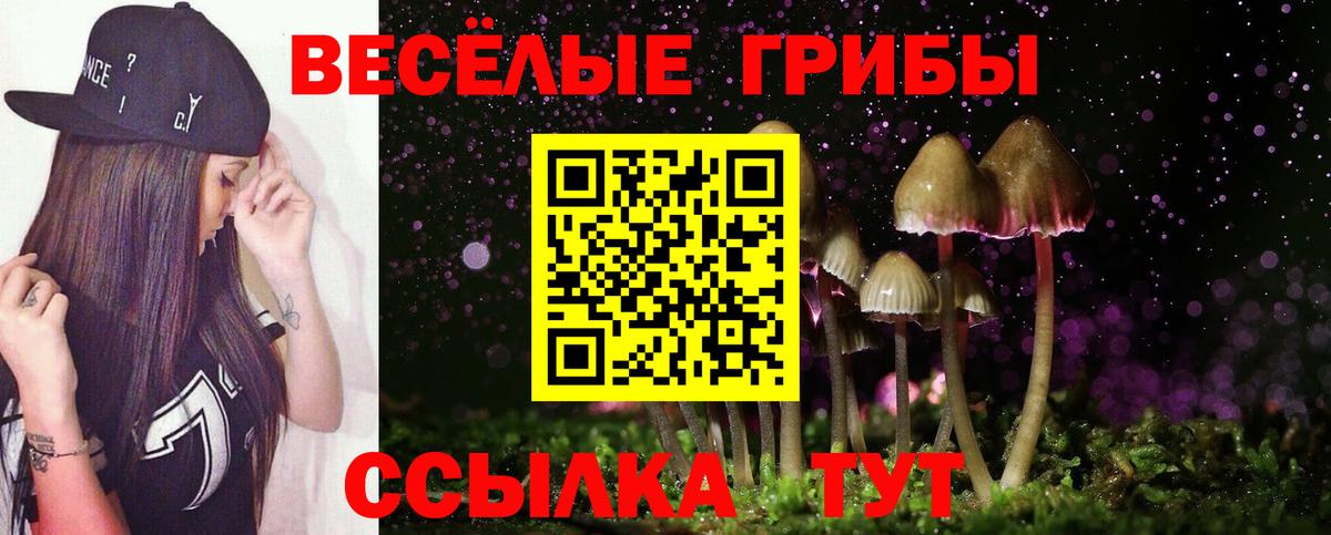 Реж  Галлюциногенные грибы Cubensis  Псилоцибиновые грибы мицелий  Вход с VPN 