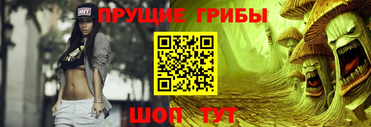 Галлюциногенные грибы Psilocybine cubensis Реж